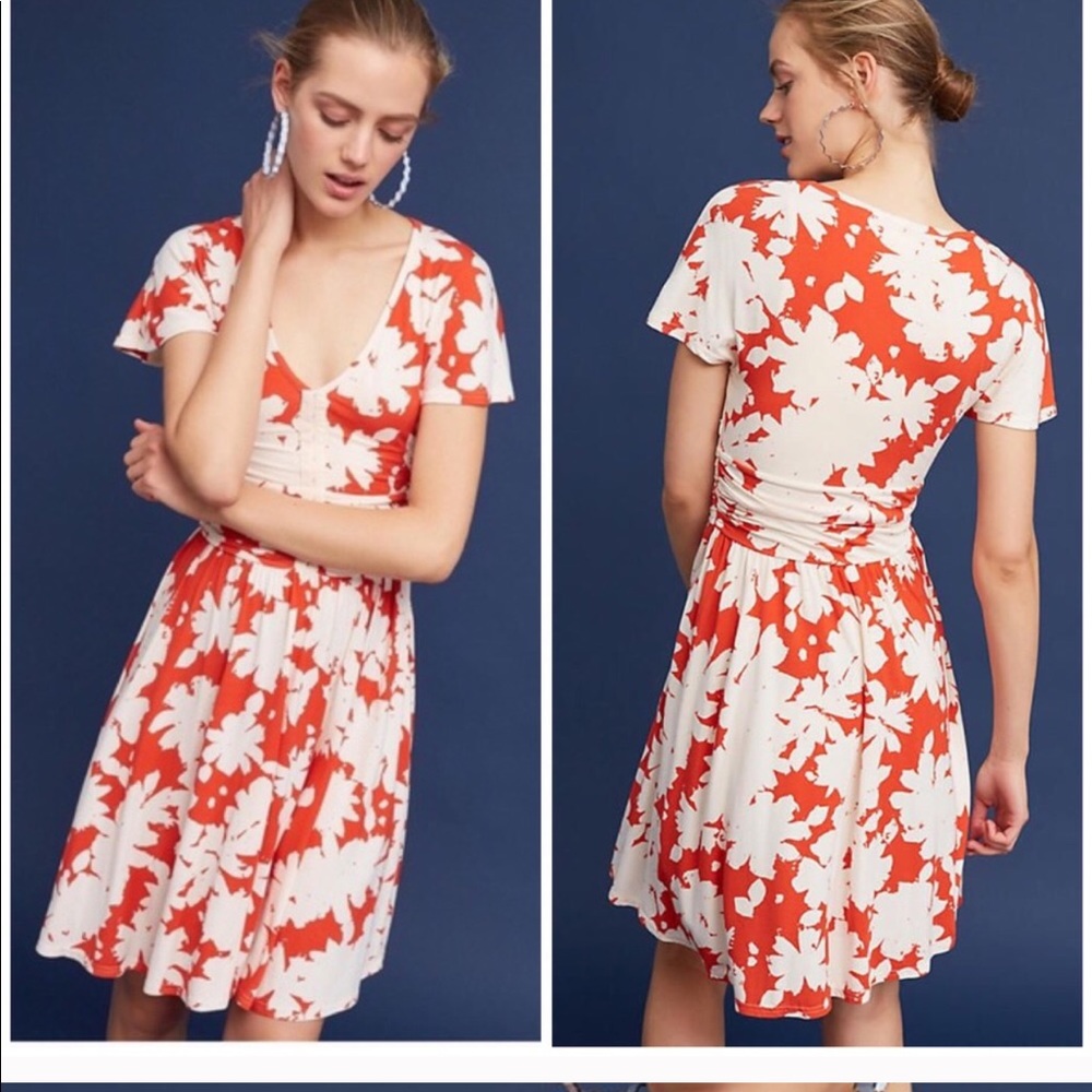 Anthropology dress